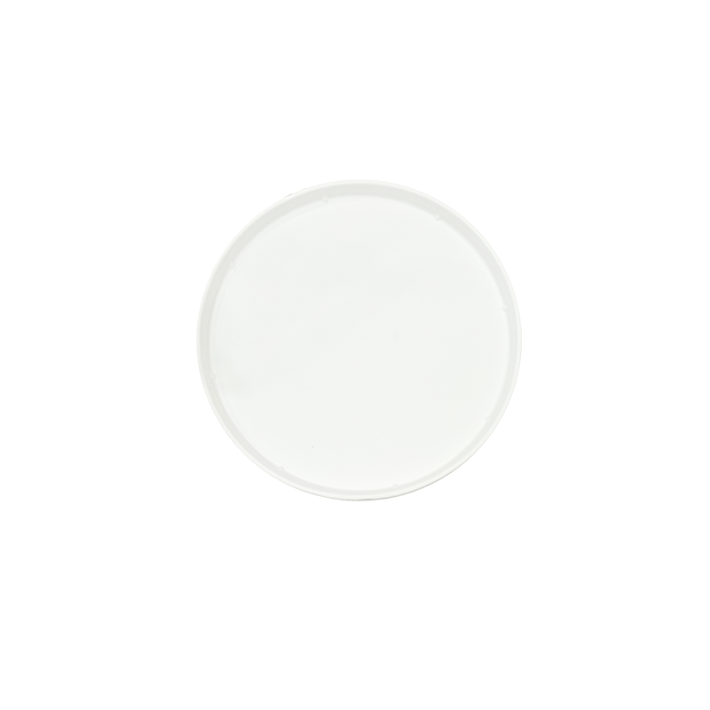 Sugarcane Bagasse Pizza Plate(320*15mm)