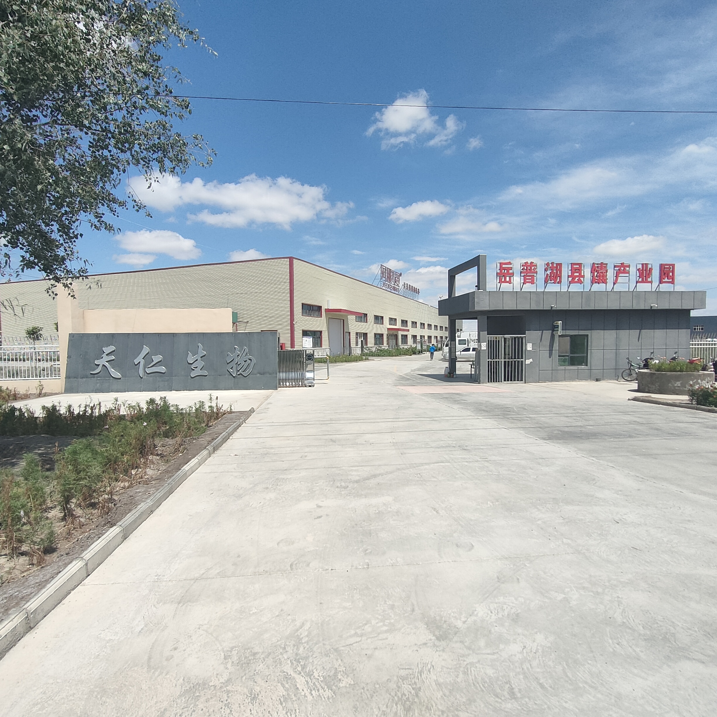Kashgar Tianren Biotechnology Co., Ltd. – 面包 1