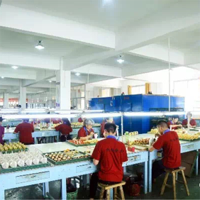 Jiangxi Qifu Handicrafts Co., Ltd. – Photos produits 3