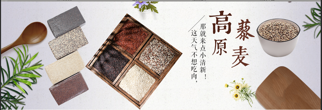 Shangri-La Wangda Breeding and Aquaculture Professional Cooperative – 藜麦 1