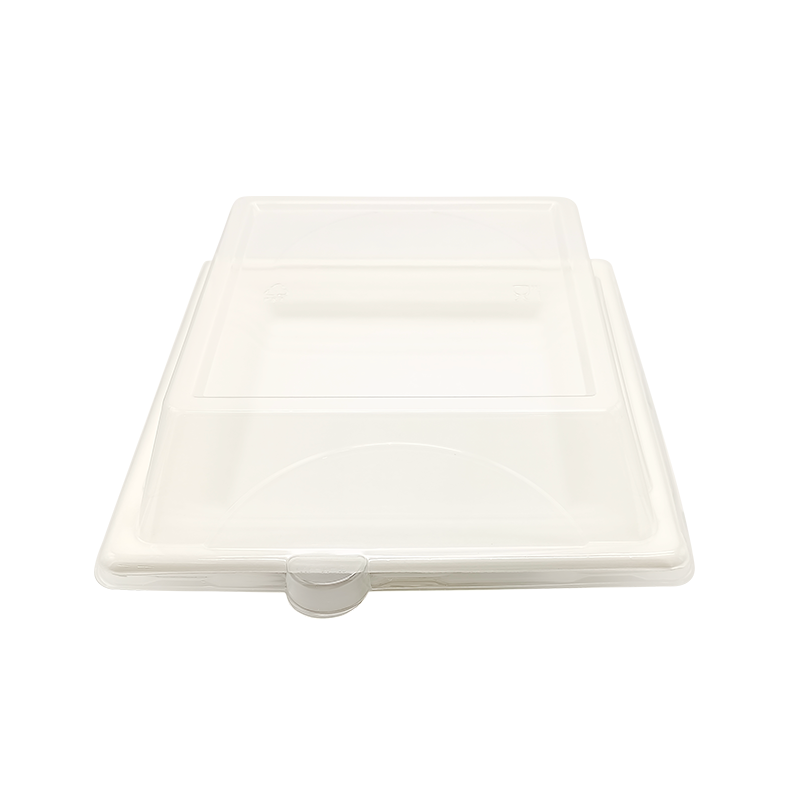 Sugarcane Bagasse Quare Plate with Lid(200*200*15mm)