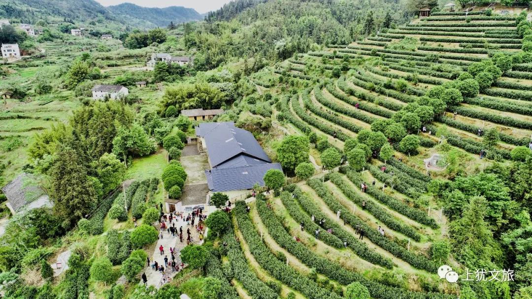Shangyou Youjiang Green Moon Food Co., Ltd. – Photos produits 2