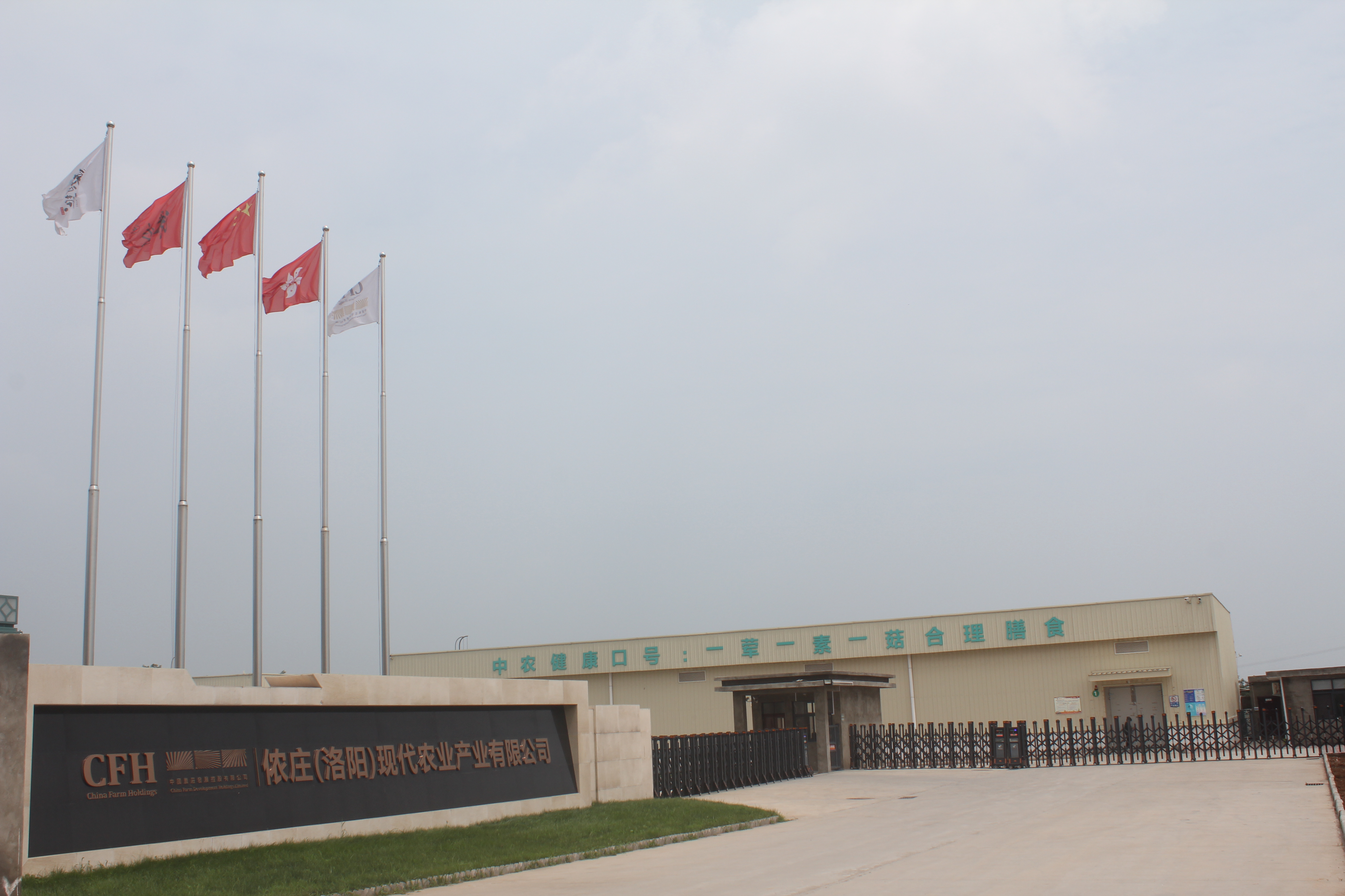 Nongzhuang (Luoyang) Modern Agricultural Industry Co., Ltd. – Other vegetable products 1