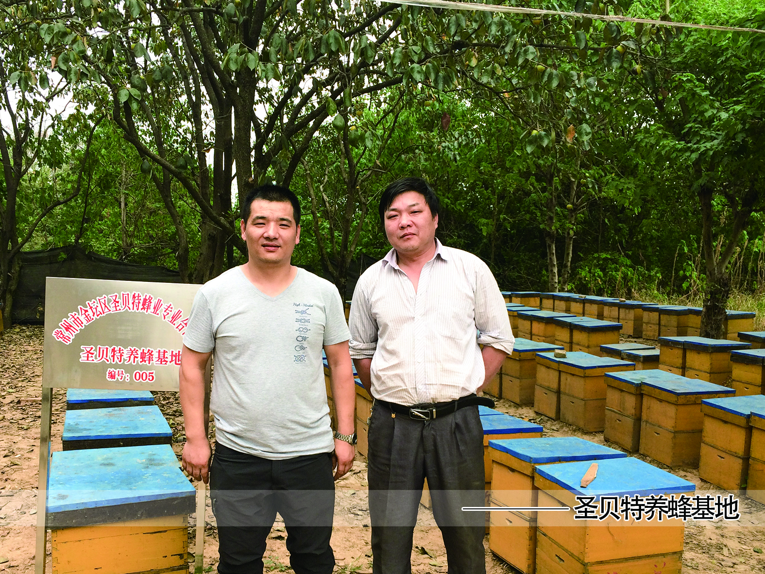Changzhou Shengbeite Bee Products Co., Ltd. – Product photos 3