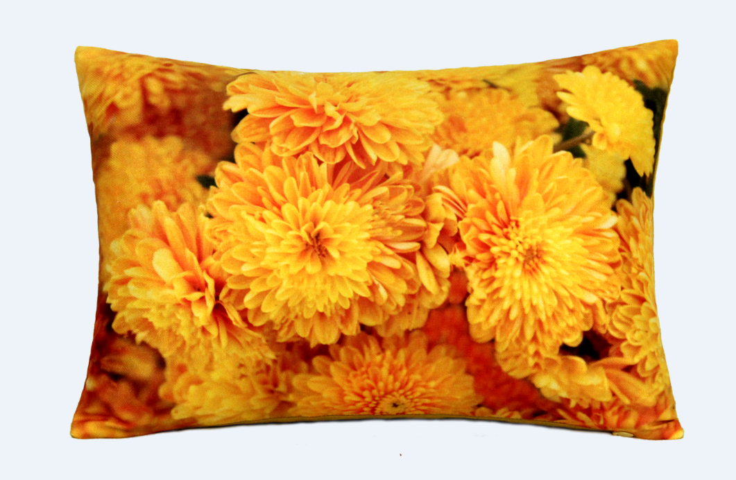 Cushion