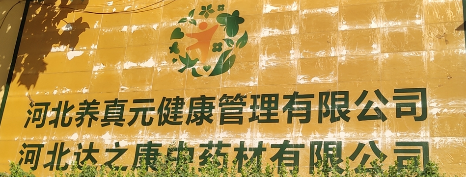 Hebei Dazhikang Chinese Medicinal Materials Co., Ltd. – Other food 1