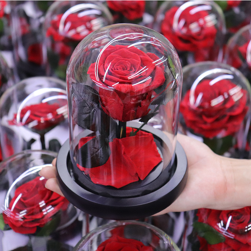Mini Preserved Rose Glass Dome | Valentine Christmas Mother's Day Gift | Custom Gift