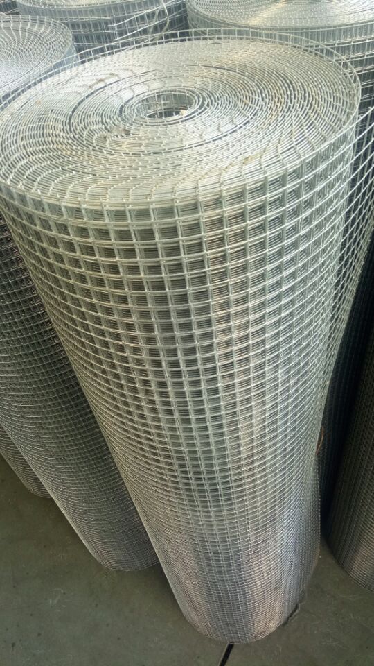 Galvanized Welded Wire Mesh