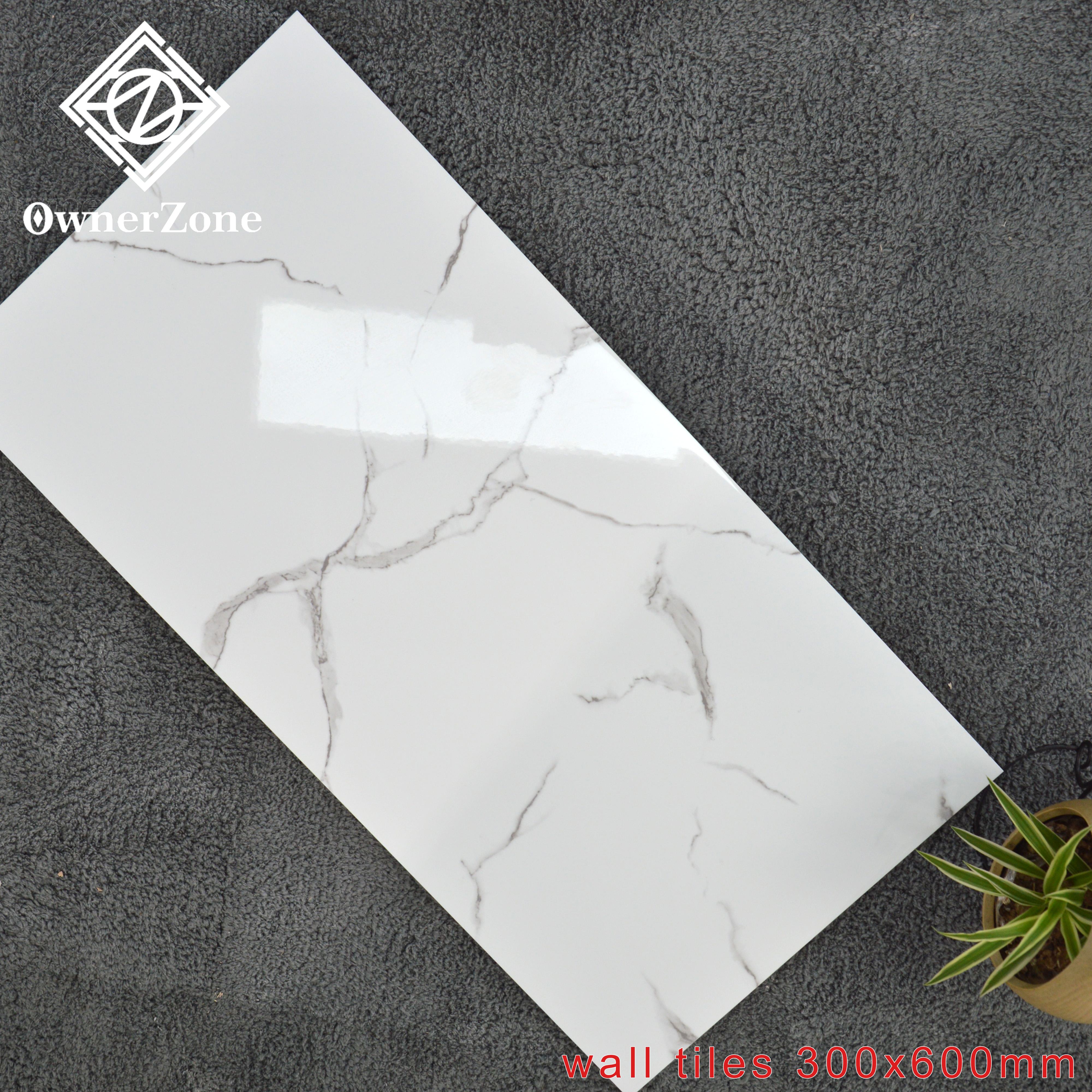 Wall Tiles, Ceramic Tiles, Bathroom TIles, Kitchen Wall tiles
