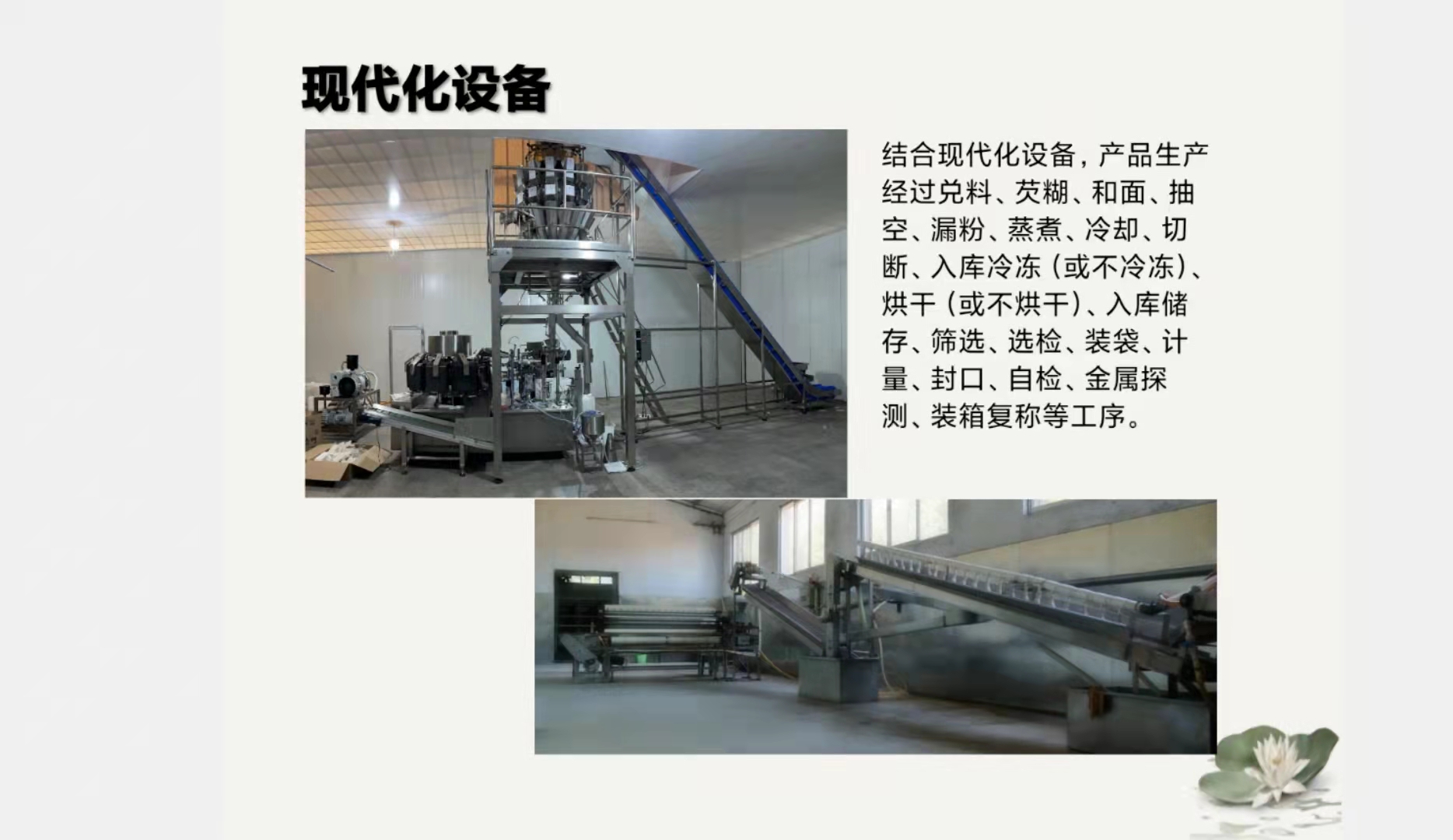 Zaozhuang Shanting District Hongfu Potato Products Factory – Other food 1