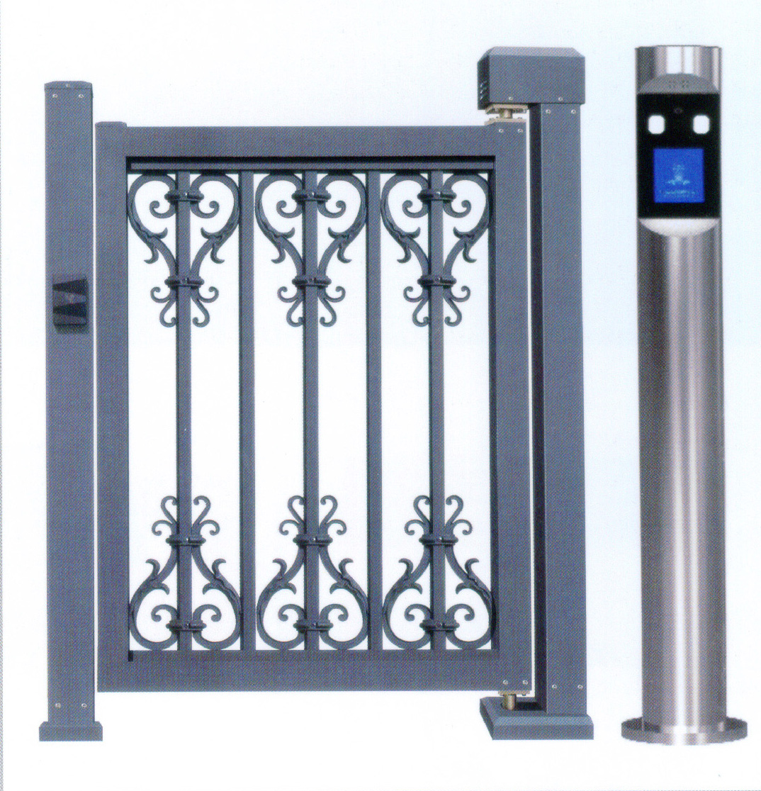 Electric door