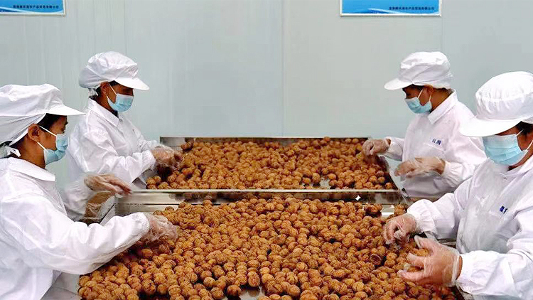 Yangbi Weinongyuan Agricultural Products Trading Co., Ltd. – Nuts and Nuts 2