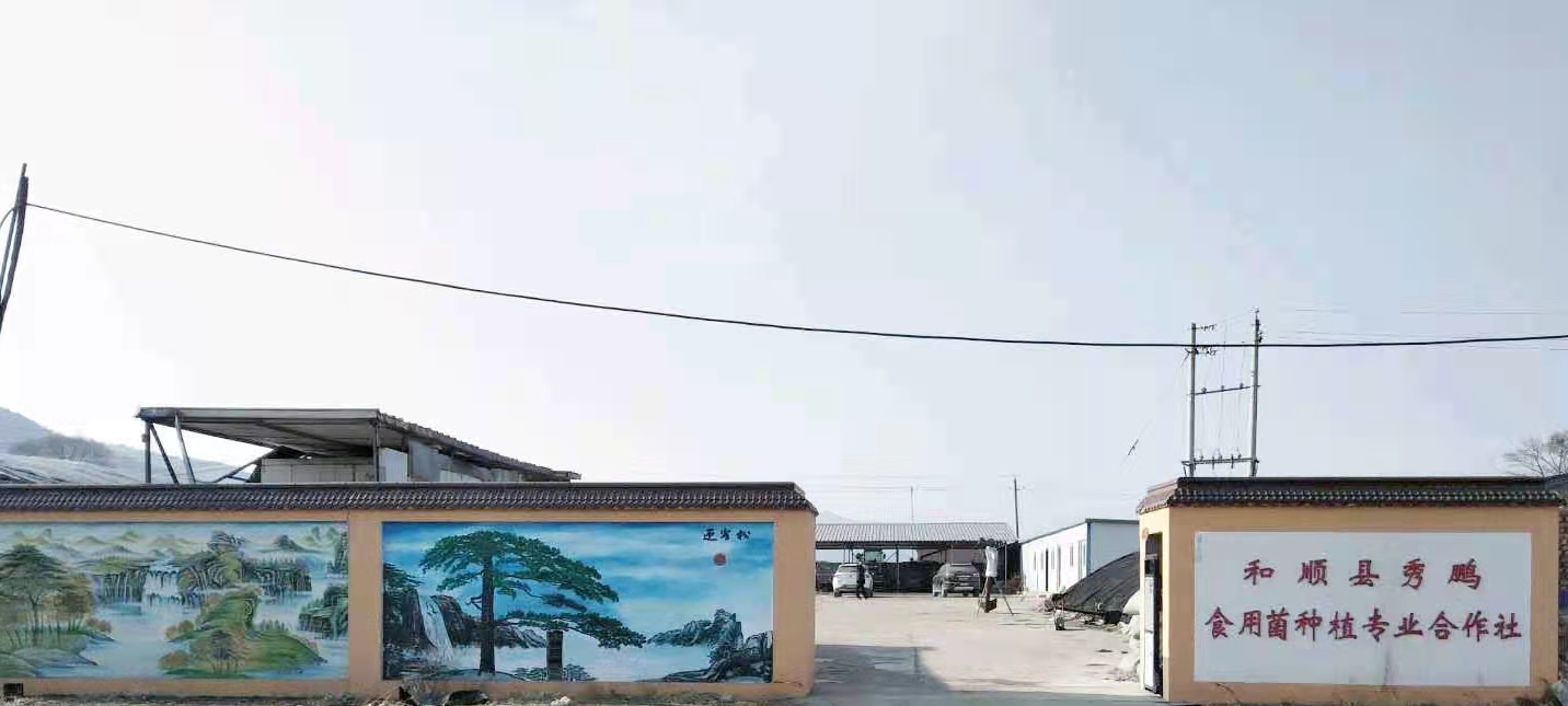 Heshun County Jiulian Yuan Agricultural Development Co., Ltd. – 菇类 1
