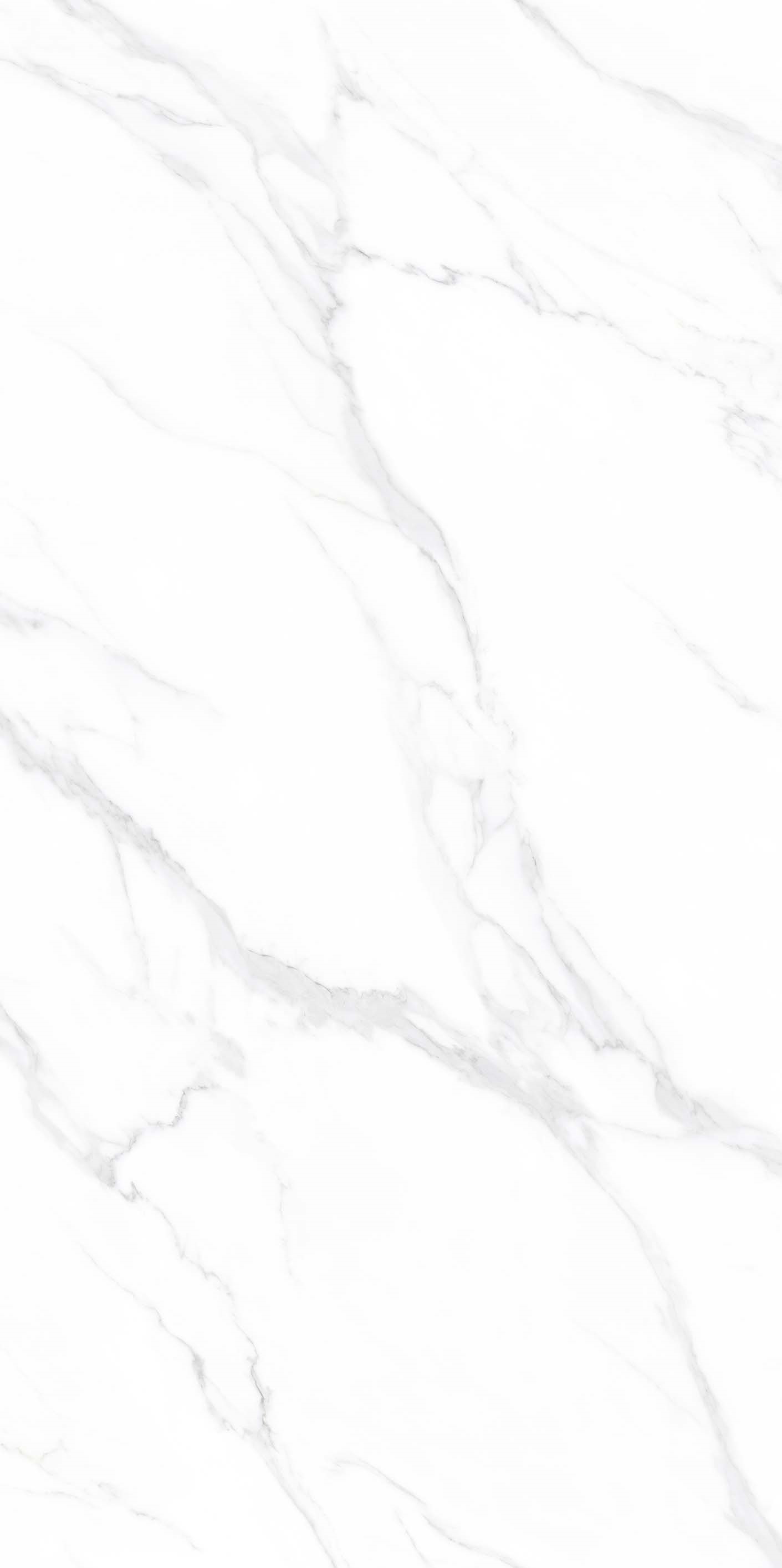 Calacatta Classico 9mm