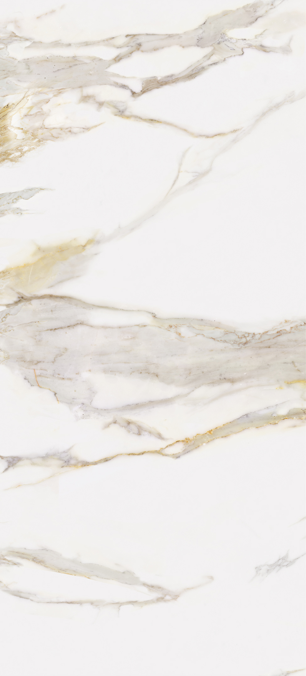 Calacatta Oro Carrara
