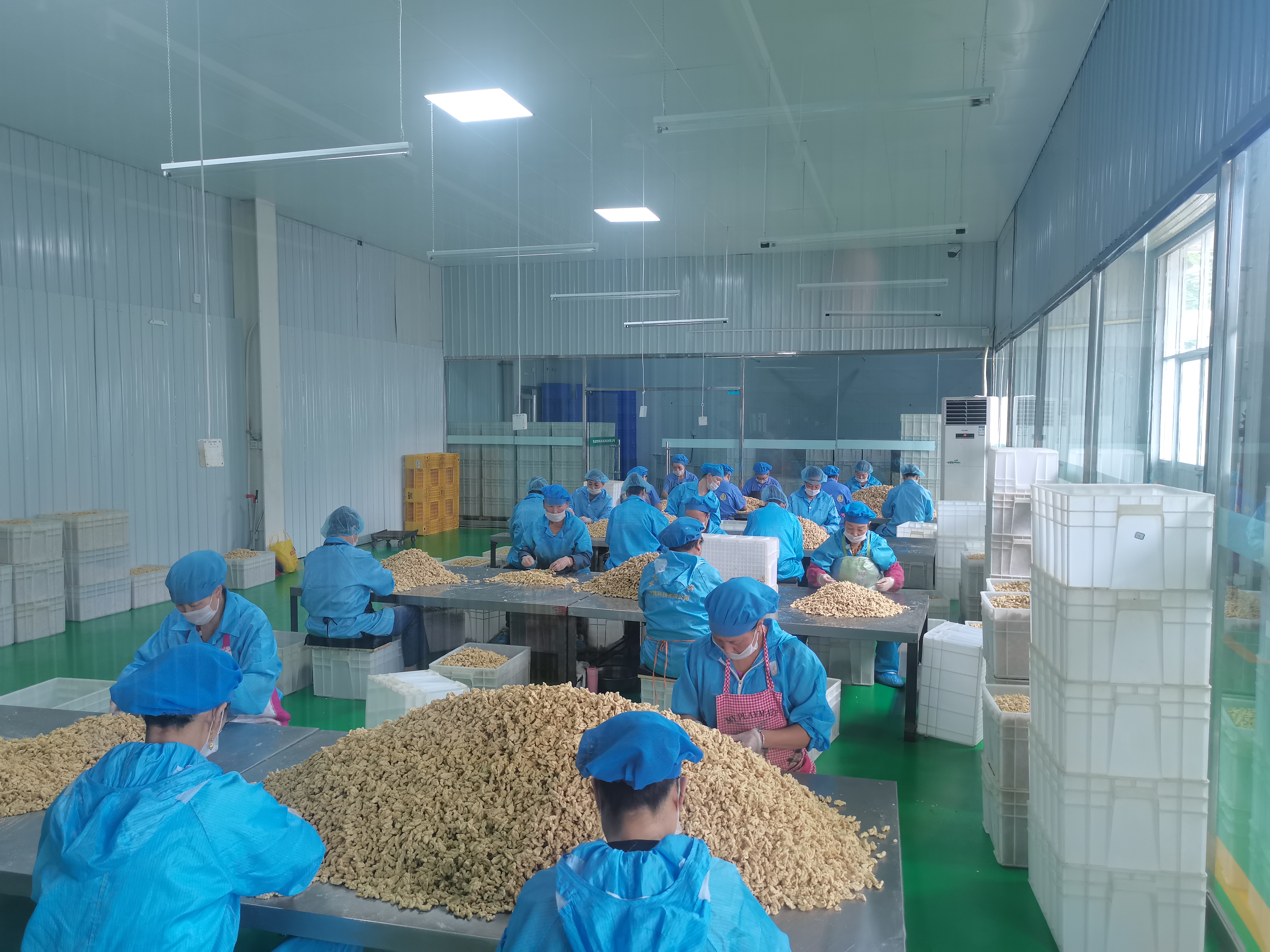 Shangluo Xingmao Agricultural Products Trading Co., Ltd. – walnuts 1