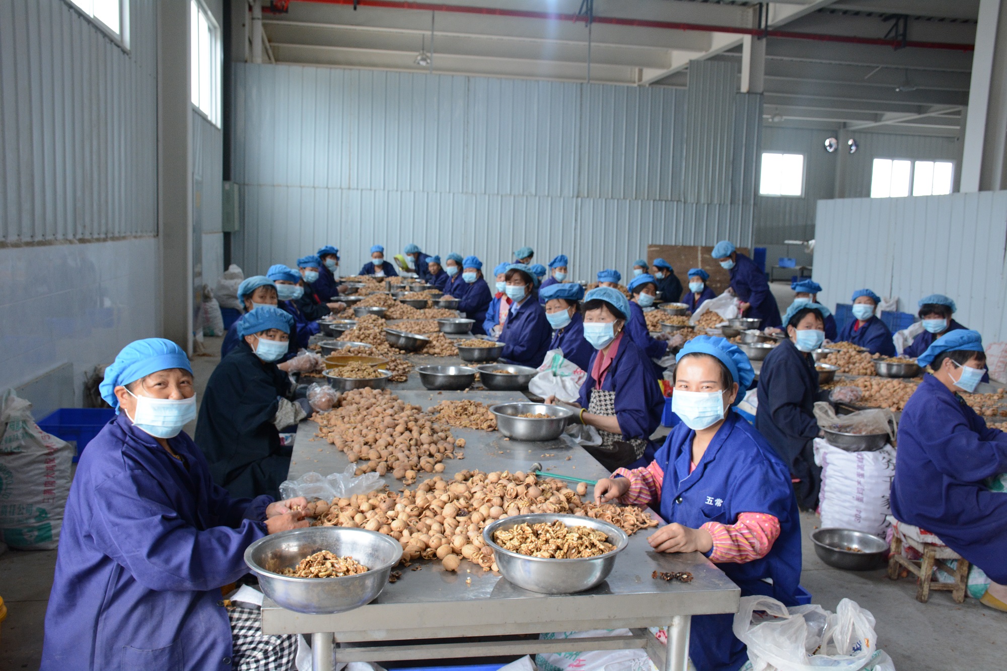 Shangluo Xingmao Agricultural Products Trading Co., Ltd. – Photos produits 3
