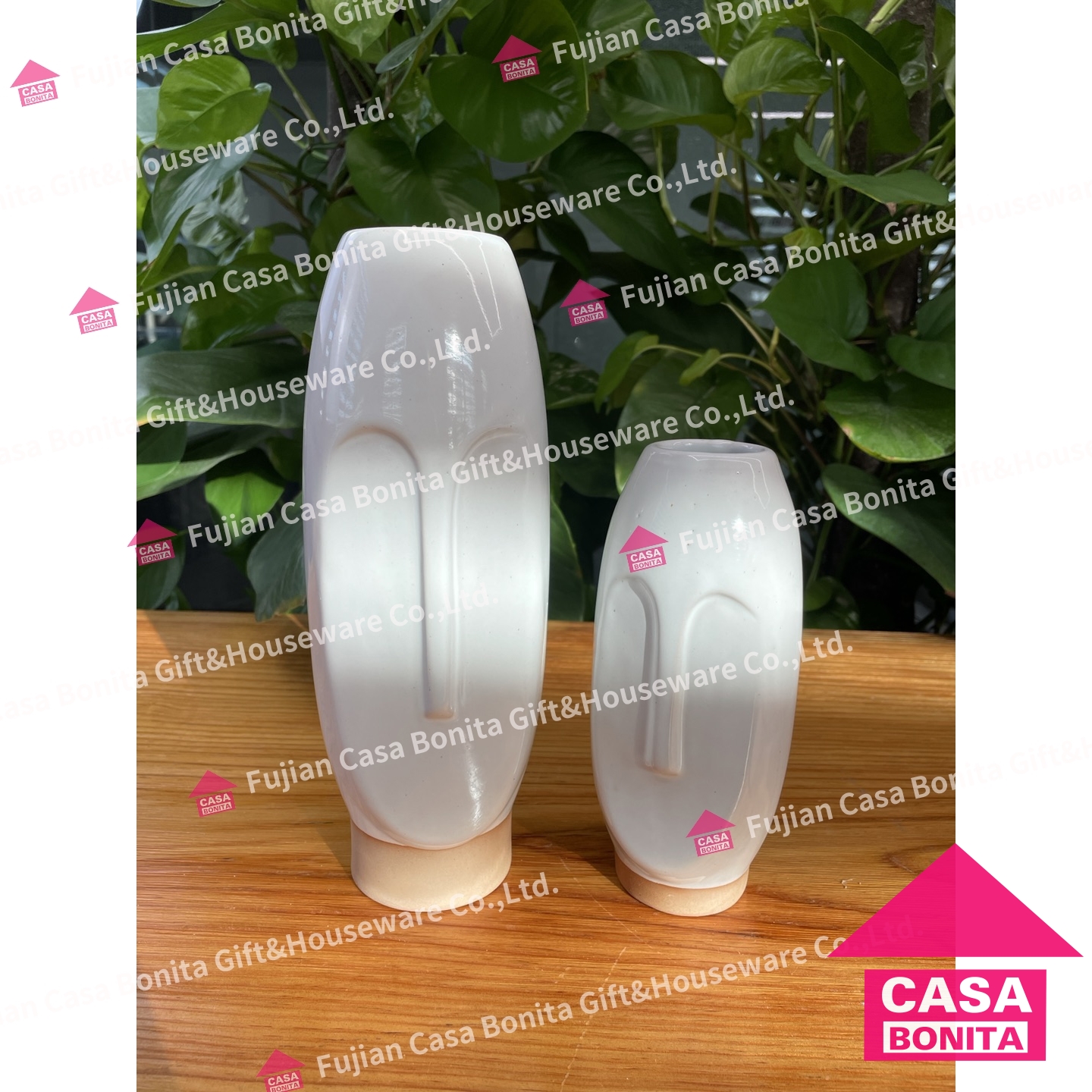 Face vase