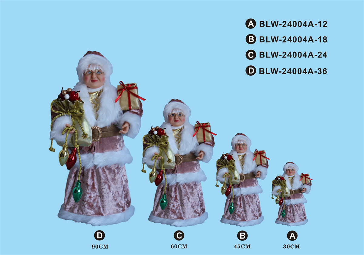 Mrs. Santa set