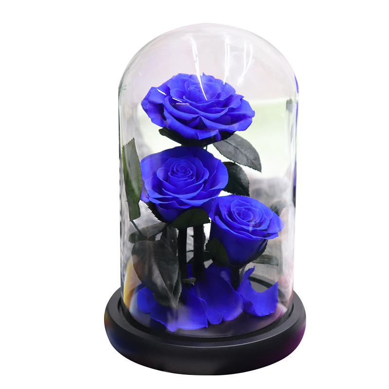 Triple Preserved Rose Glass Dome | Romantic Gift Decor