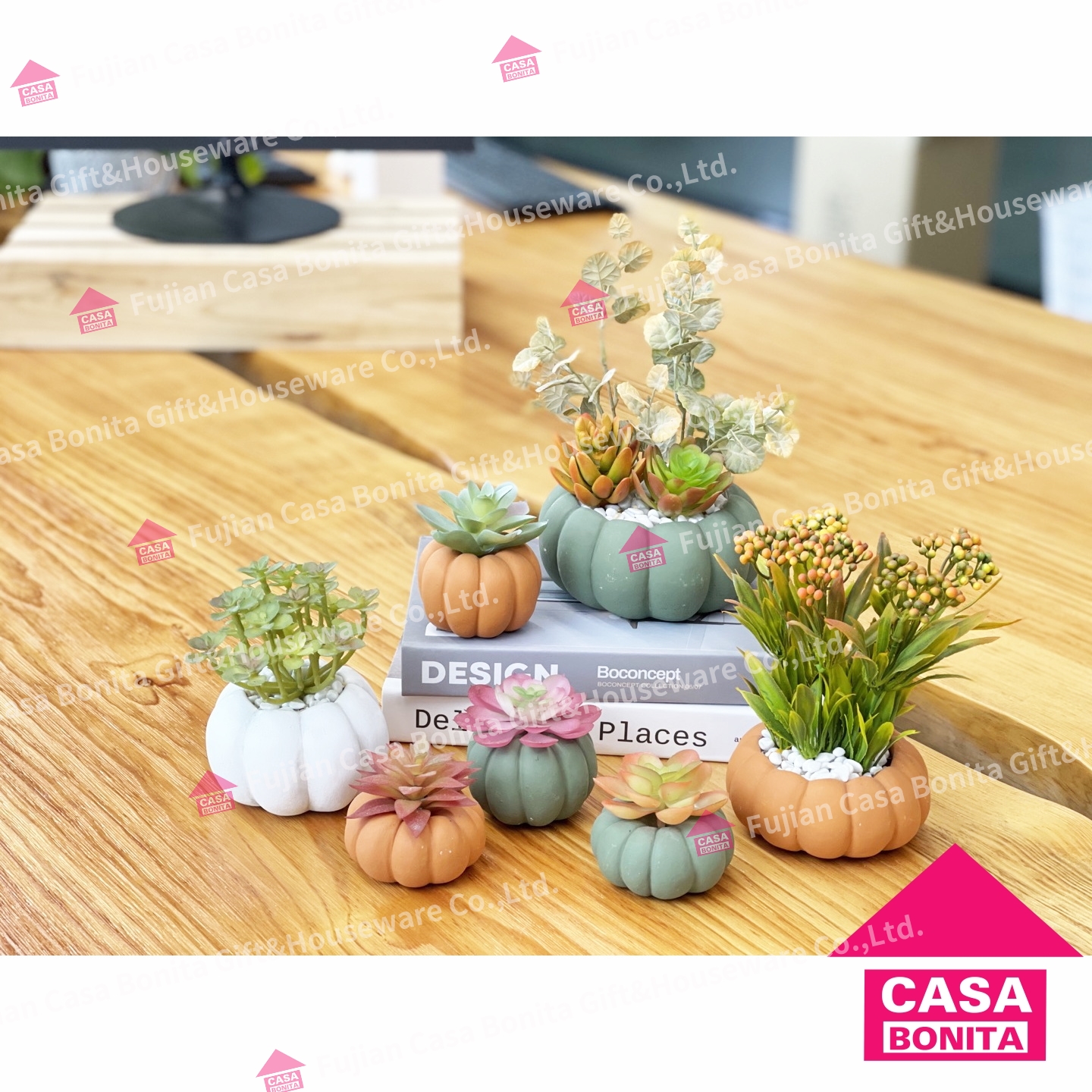 Pumpkin shaped pot succulents