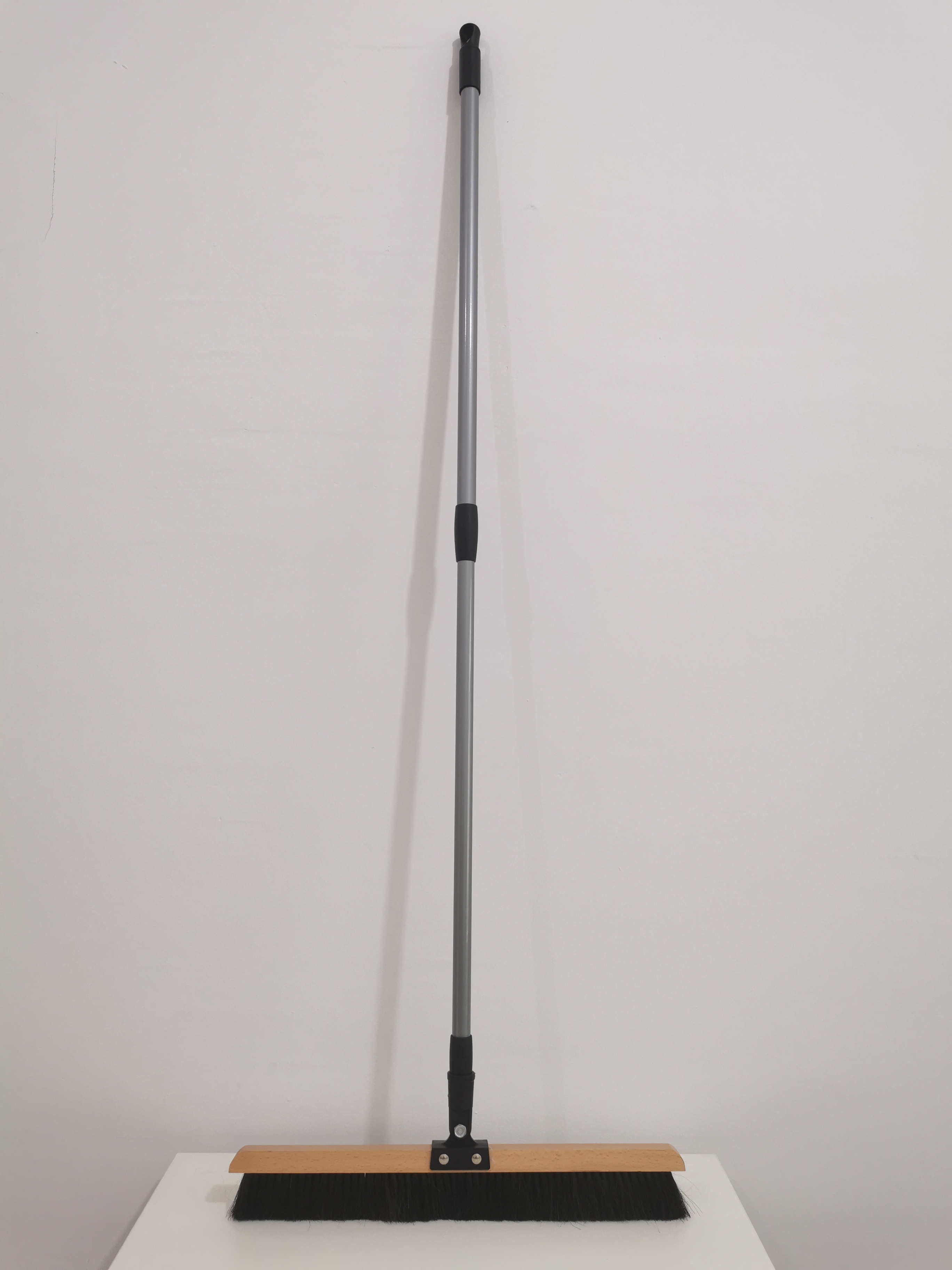 horsehair broom