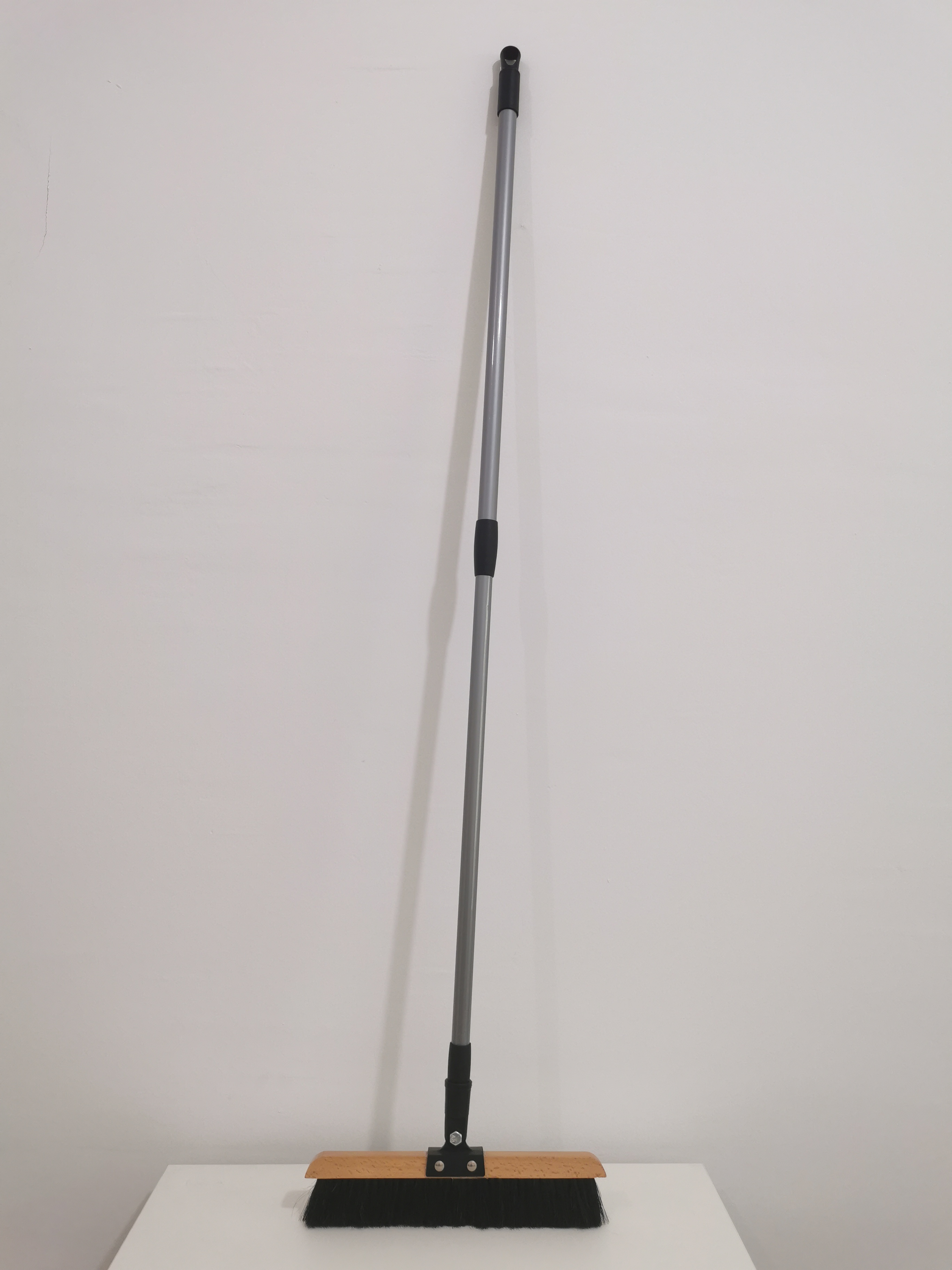 horsehair broom