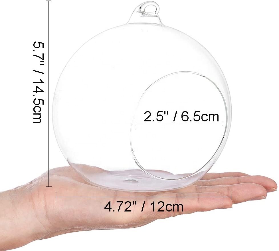 Home DIY Glass Planter Big Opening Air Fern Plants Vase Hanger Hanging Glass Globes Terrarium Orbs