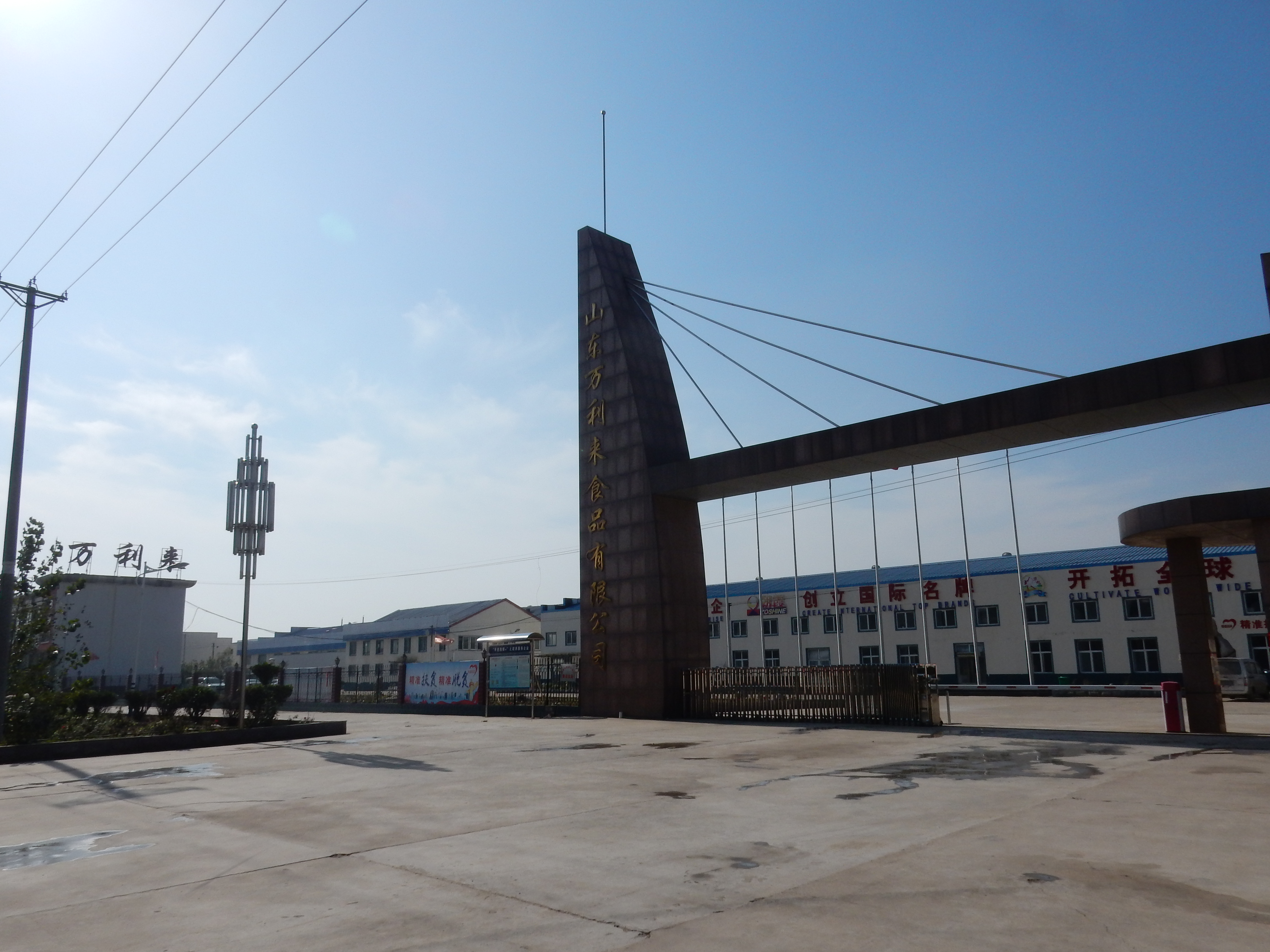 Shandong Wanlilai Food Co., Ltd. – canned fruit 1