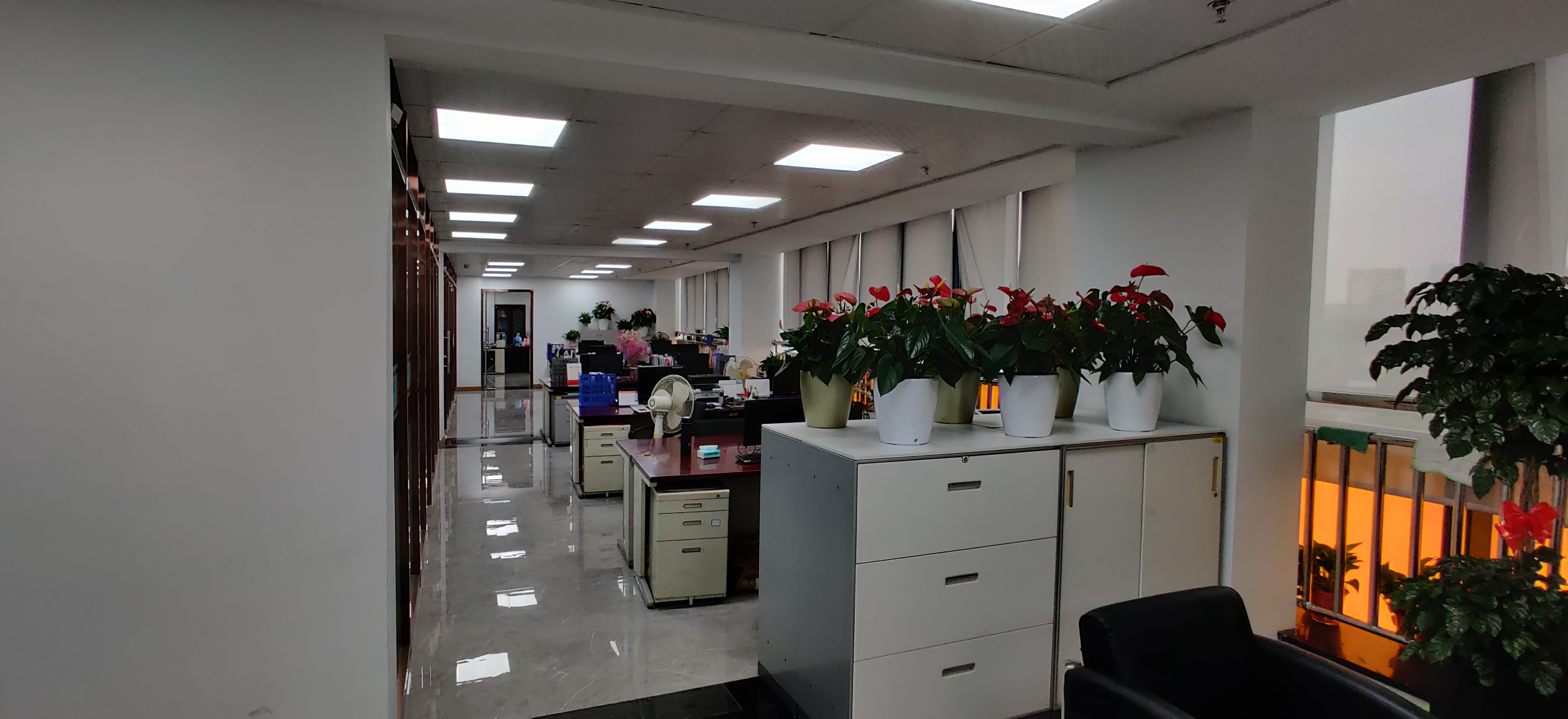 Yiwu Qichuang Import and Export Co., Ltd. – Bra 1
