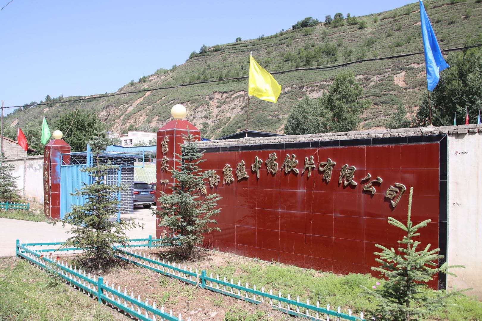 Qinghai Kangyun Chinese Medicine Decoction Pieces Co., Ltd. – 灵芝 1