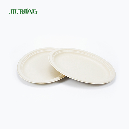 Biodegradable Sugarcane Bagasse Plate
