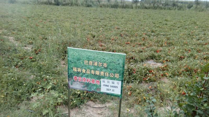 Tianjin Fujing Food Group Co., Ltd. – Photos produits 3