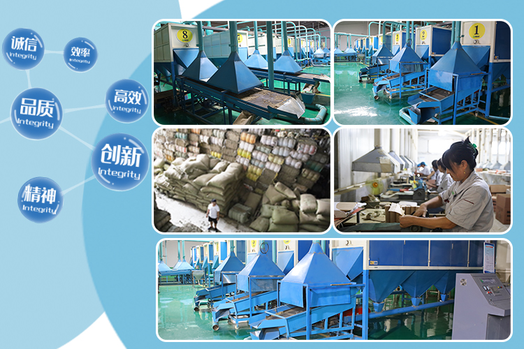Pingyi Taifeng Medicinal Materials Import and Export Co., Ltd. – Other Chinese medicinal materials 1