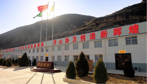 Yanchuan Jinchun Jujube Industry Co., Ltd. – Other soy products 1
