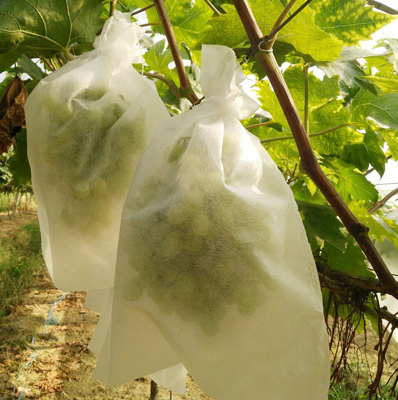 Agricultural Protection Nonwoven Fabric Spunbond Non Woven Plant Cover Fruit Cover