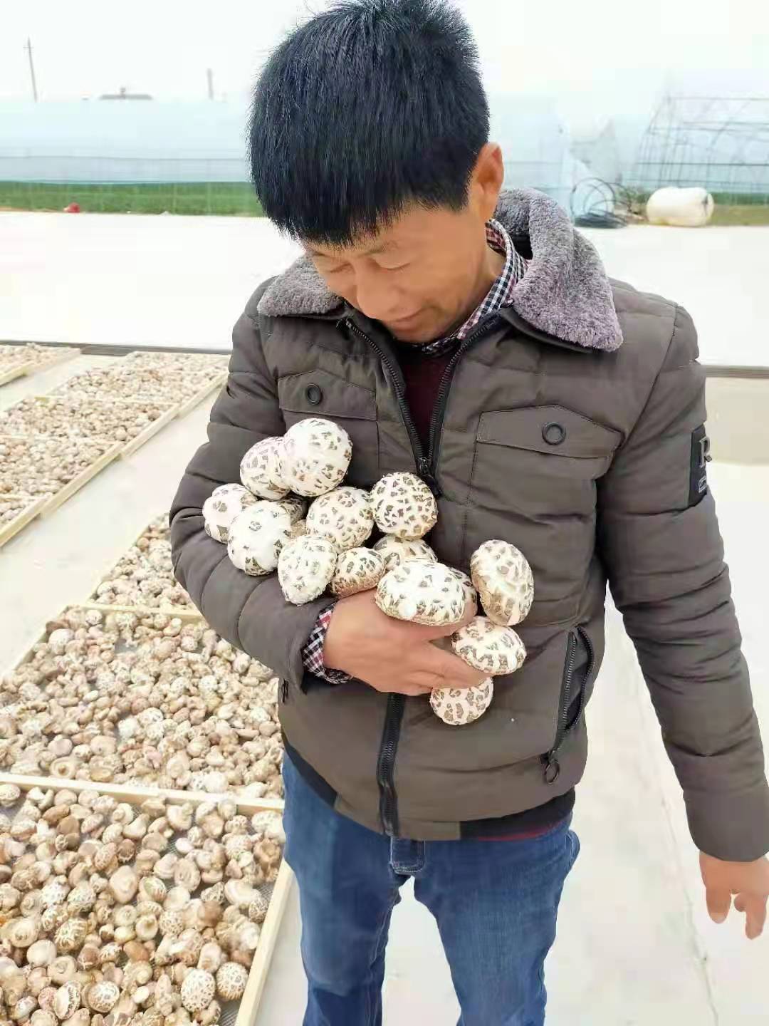 Hubei Qianbao Edible Fungi Co., Ltd. – 菇类 1