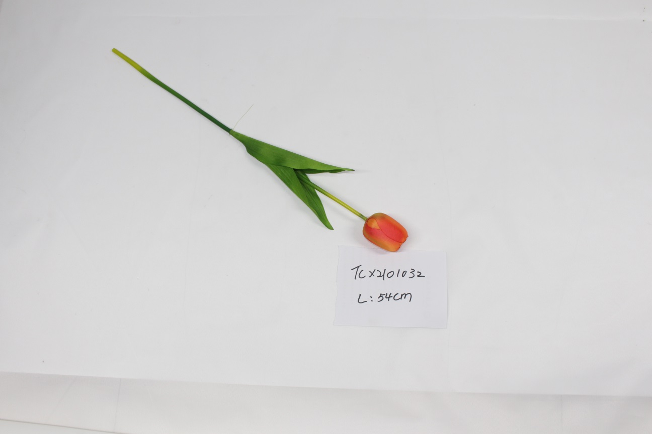 Tulip Single-2