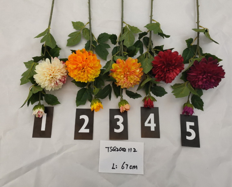 Ball mum