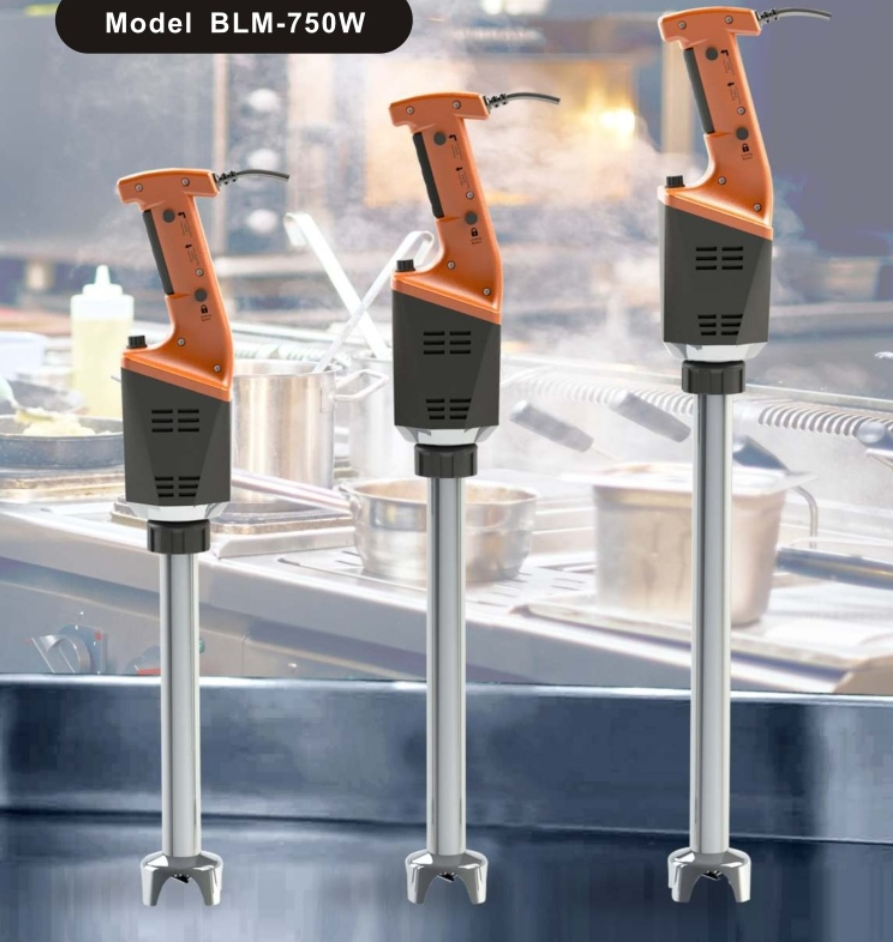 LINKRICH Power mixer BLM-750W