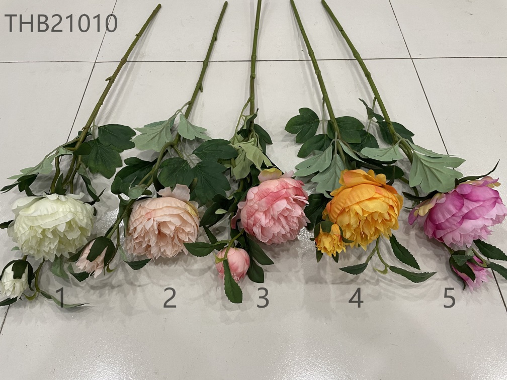 Peony Single