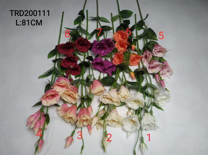 Rose Single
