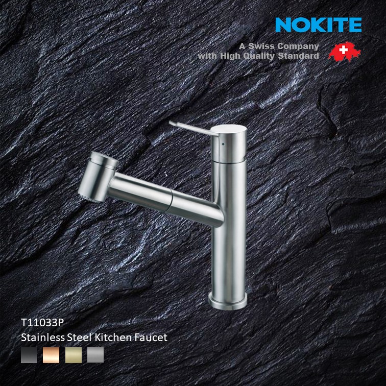 T11033P Stainless Steel Kitchen Faucet