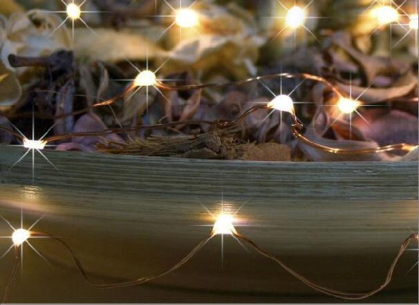 50L copper wire lamp string