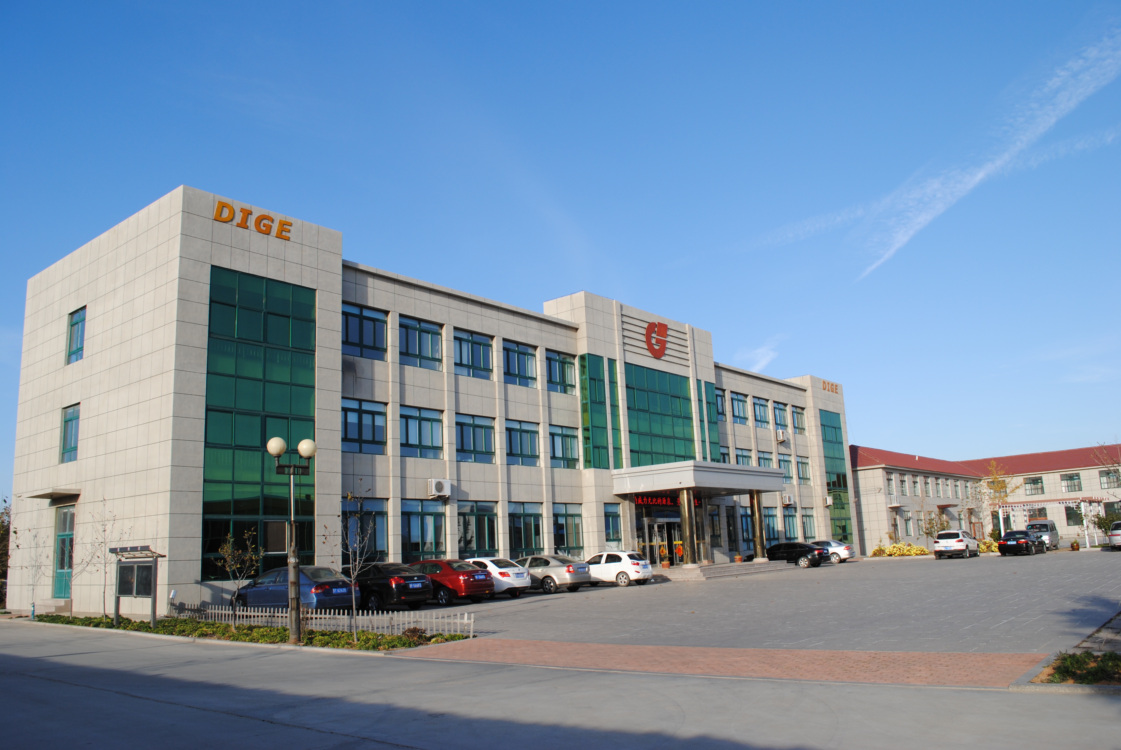 Shandong Dige Door Industry Co., Ltd. – Metal doors 1
