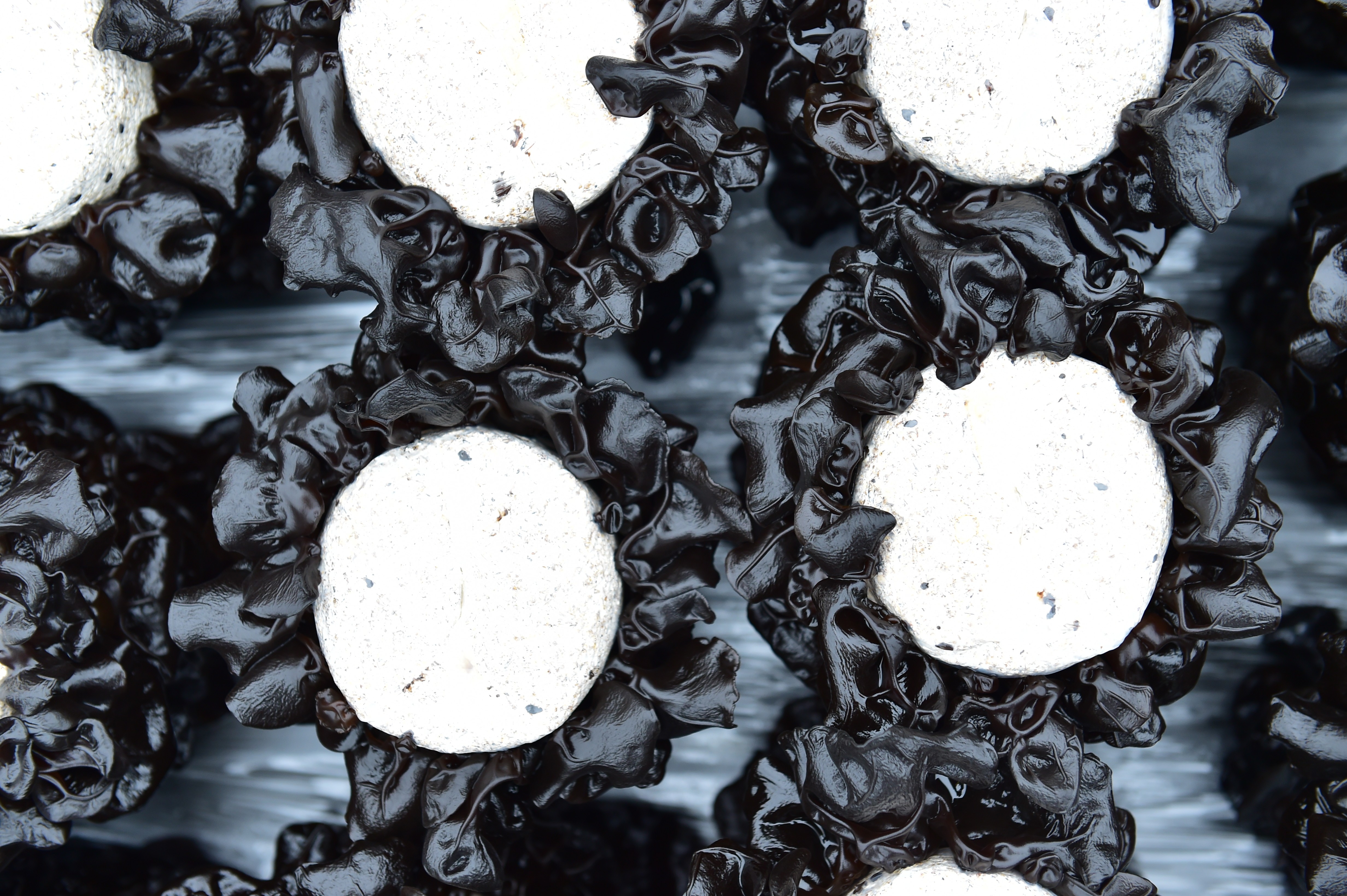 Guizhou Fangtian Fungal Industry Co., Ltd. – Black fungus 1