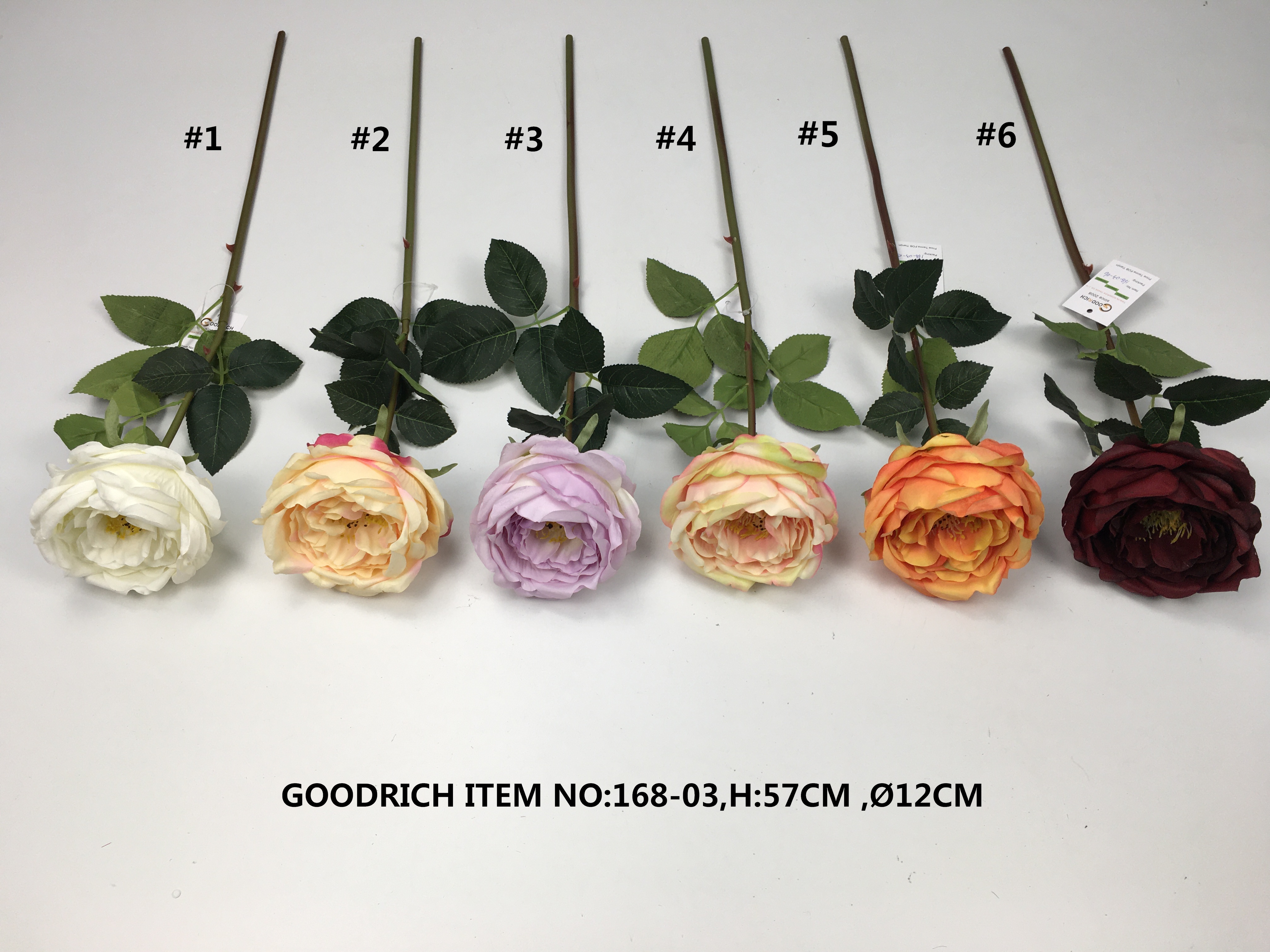 single flower