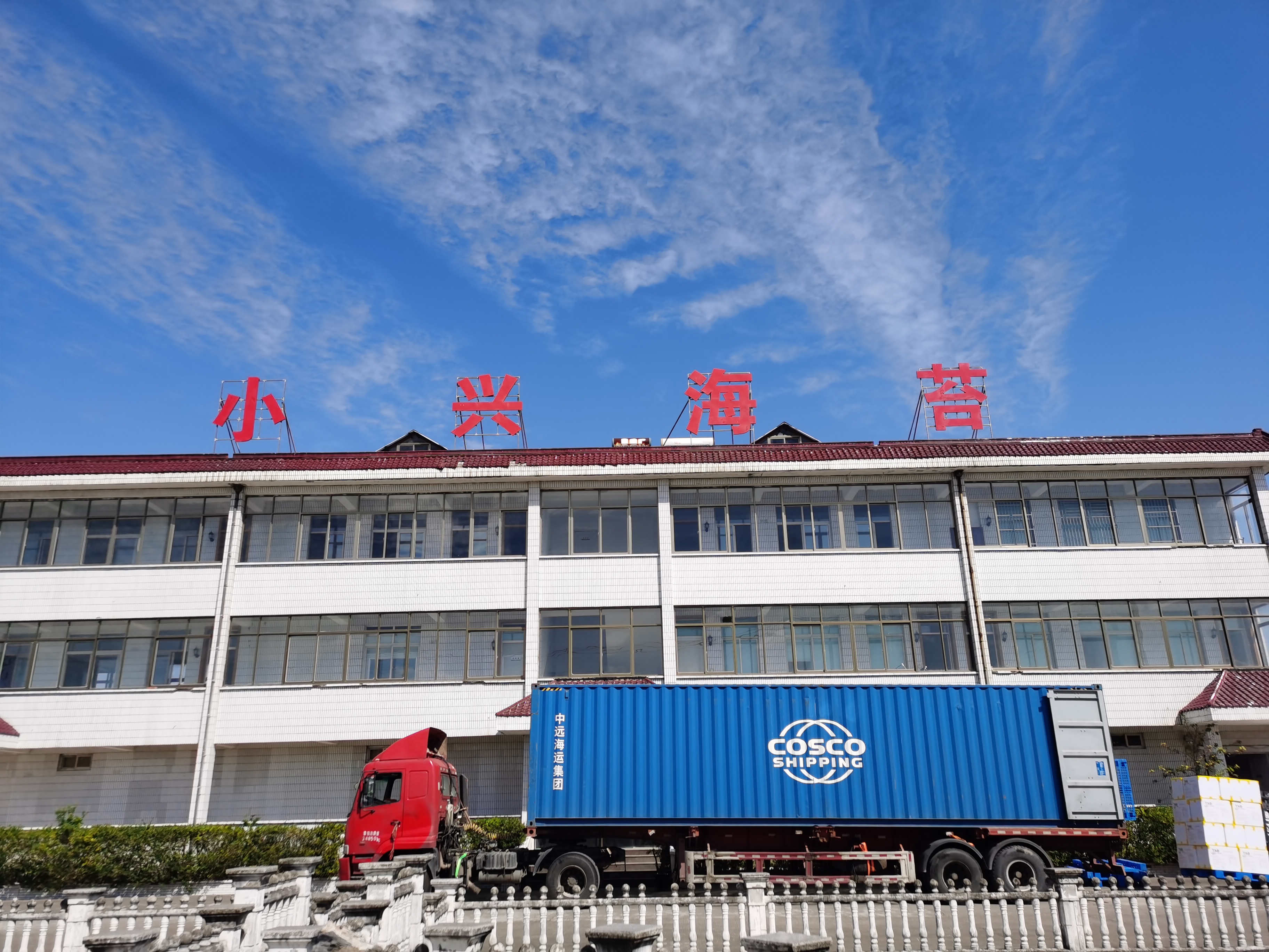 Nantong Wenxing Food Co., Ltd. – Kelp/seaweed 1
