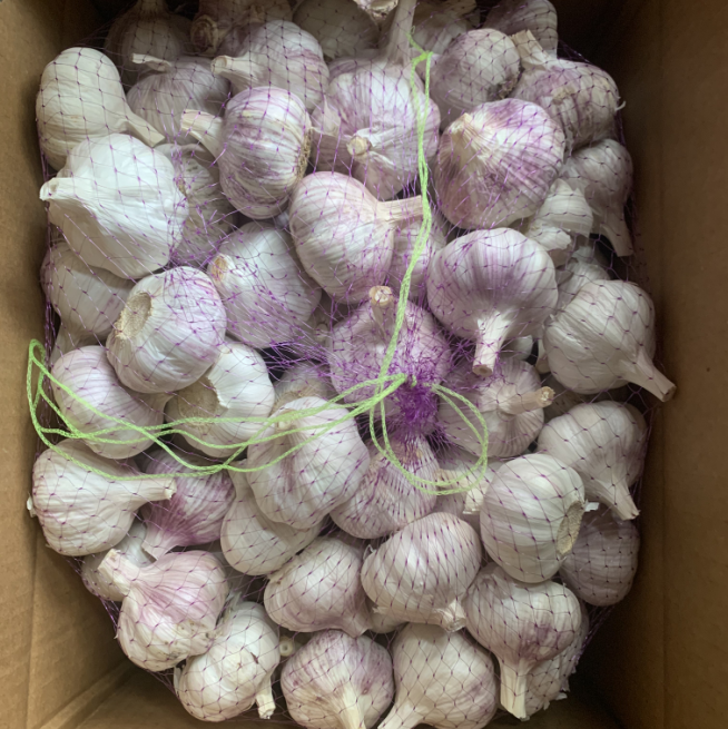 China normal white garlic 5.0cm factory supply fresh garlic price 2021