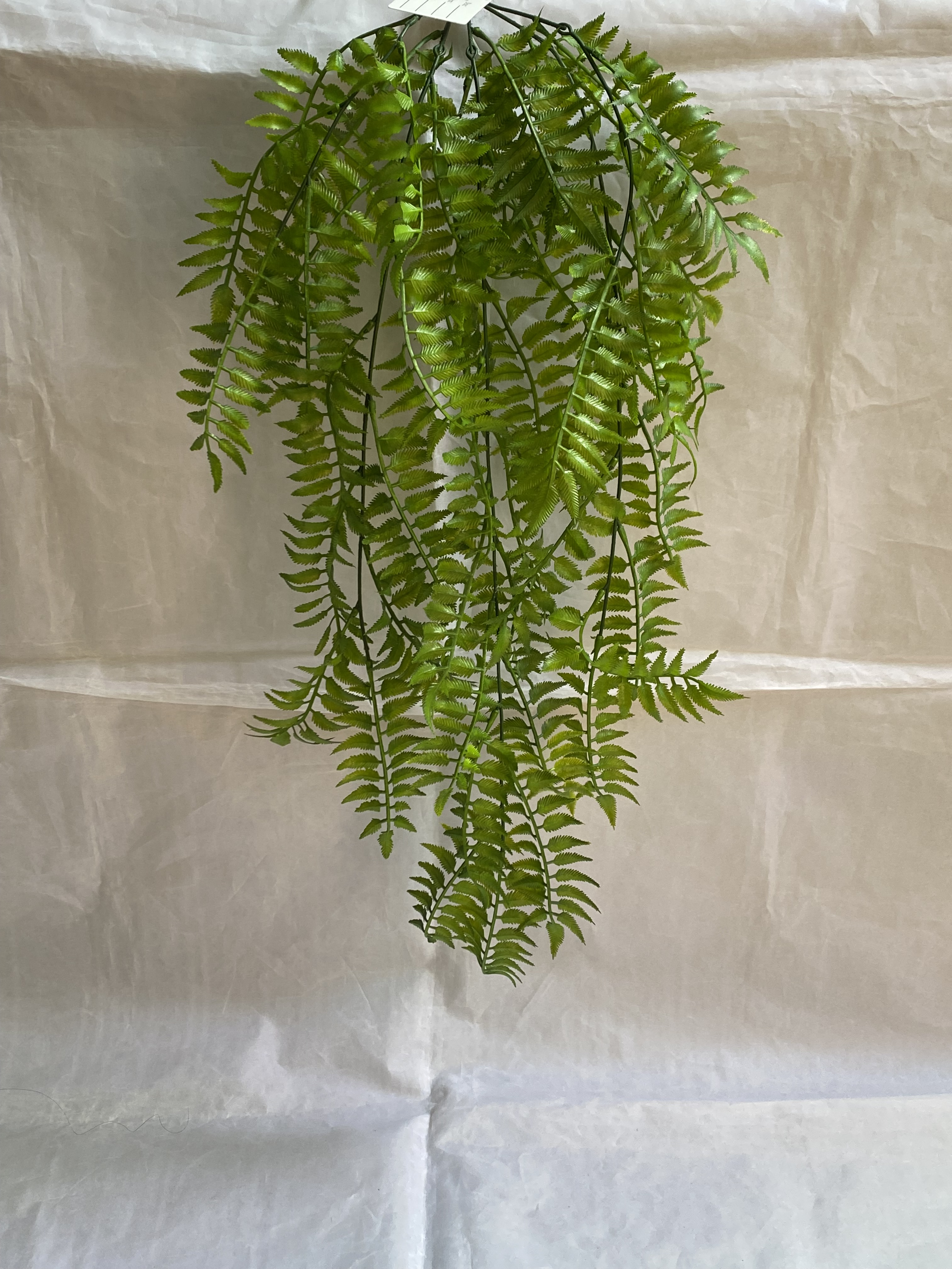 Rattan Plastic Grass X 5 With 45 Leaves (Yt6336x5)